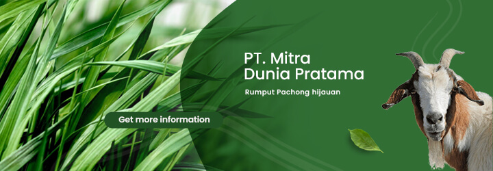 pt mitra dunia pratama2(1)